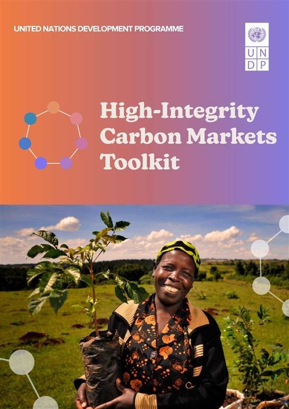 High Integrity Carbon Markets Toolkit Climate And Forests